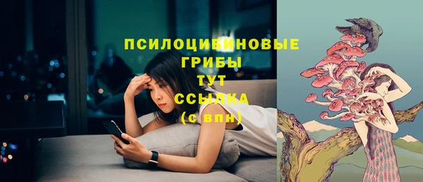 не бодяженный Володарск